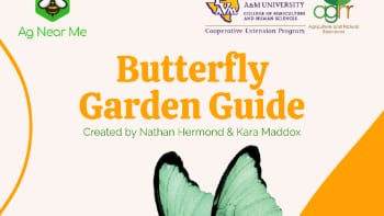 Butterfly Garden Guide