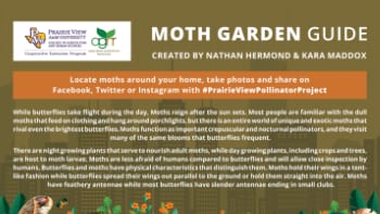 Moth Garden Guide