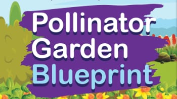 Pollinator Garden Blueprint