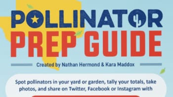 Pollinator Prep Guide